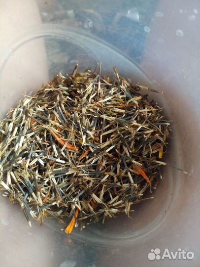 Бархатцы семена