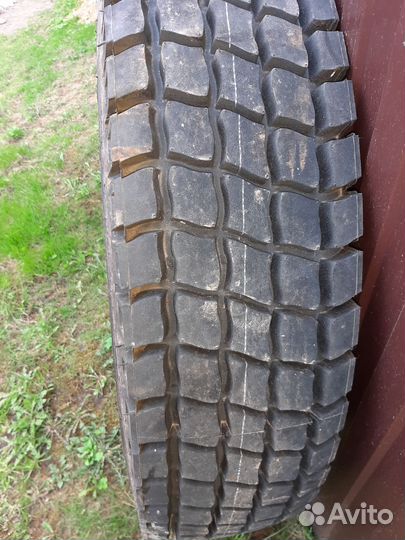Автошины