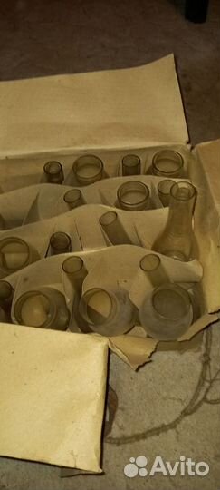 Стекла для лап