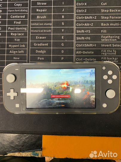 Nintendo switch lite прошитая 256