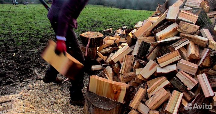 Дрова сухие