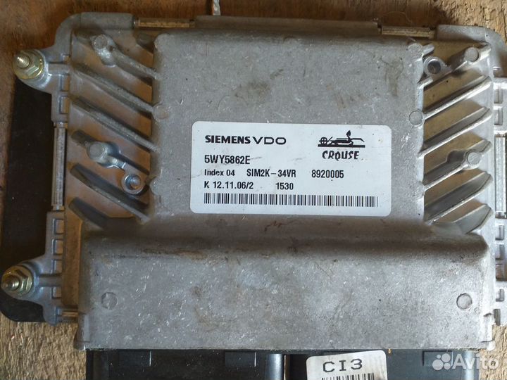 Мозги Саманд