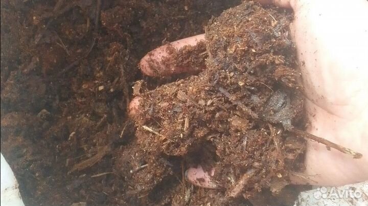 Земля и навоз, опилки и зола, доставка 50л мешки