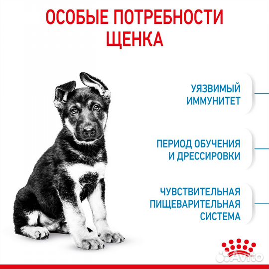 3 кг, Royal Canin Puppy Maxi