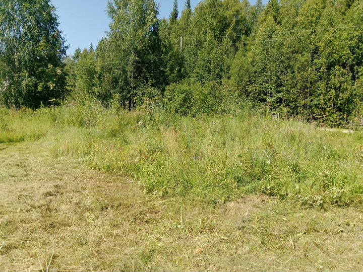 Участок 10 сот. (СНТ, ДНП)