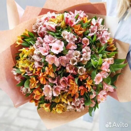 Букет из 15,25,51 и 101 Альстромерии Букет Москва