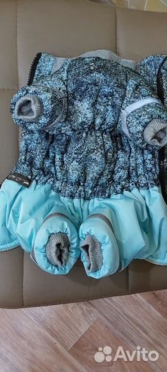 Одежда для маленьких пород собак