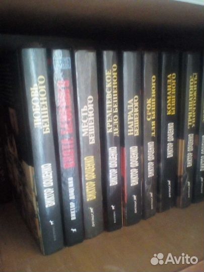 Виктор Доценко. 14 книг про Бешеного