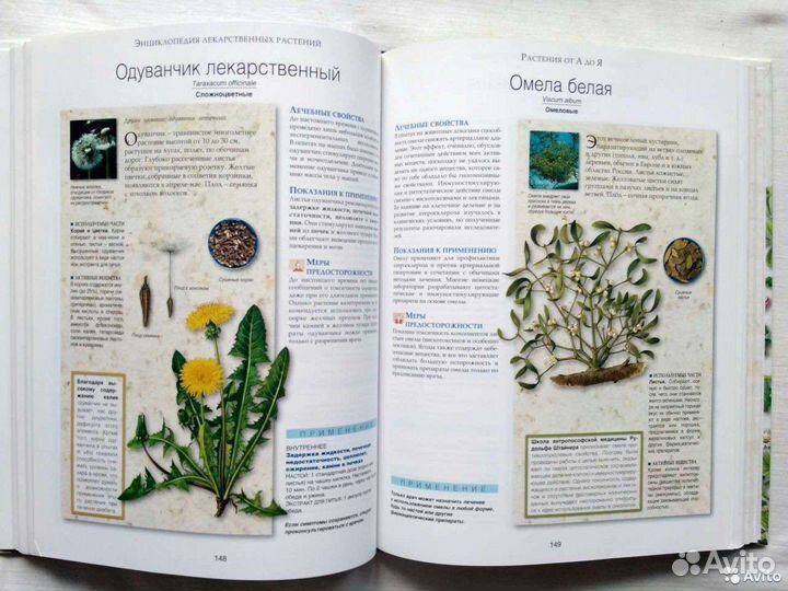 Энциклопедия лекарственных растений. Прага. А.Ю. Н