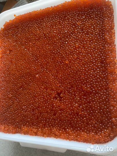 Икра горбуши, Камчатка, Икра