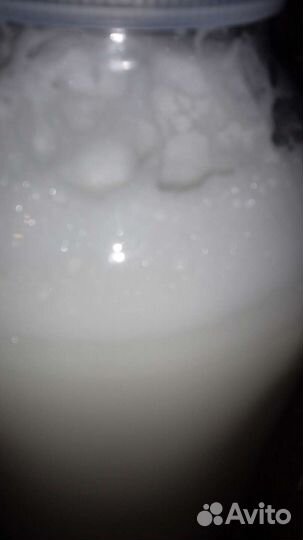 Козье молоко