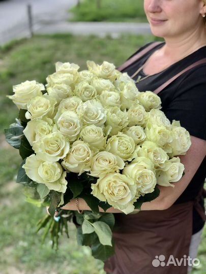 Роза Эквадор