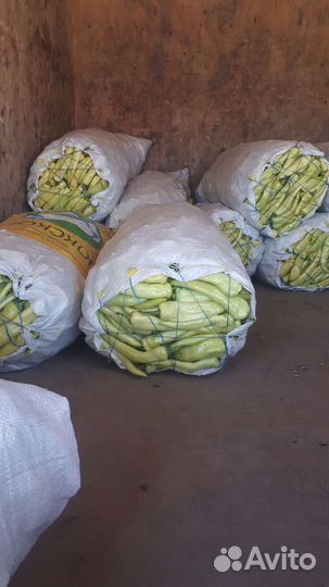 Цицак, грузинский перец