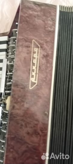 Орион 2 аккорд аккордеон