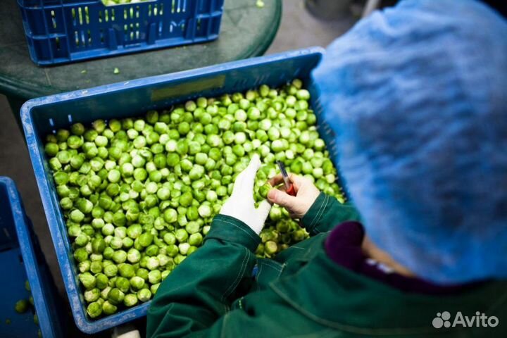 Подсобник разнорабочий