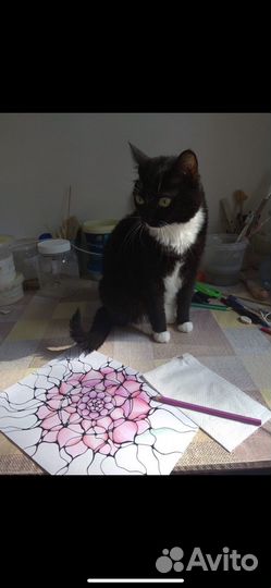 Кошка