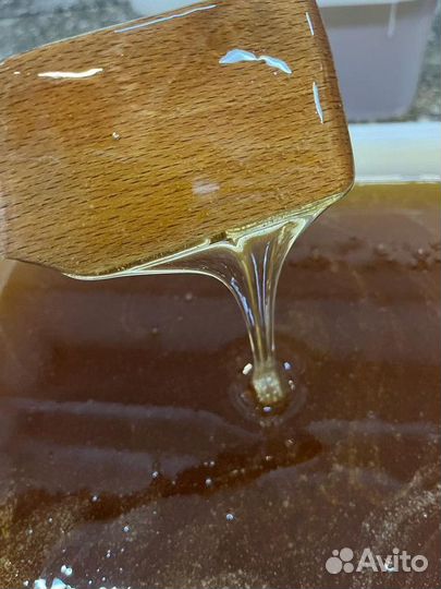 Мёд свежий оптом. Разнотравье светлое, качка 2023г