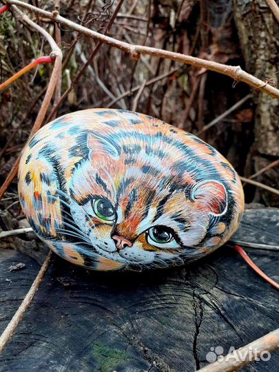 Кот на камне