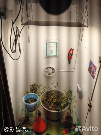 Готовый гроубокс