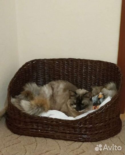 Плетение корзин