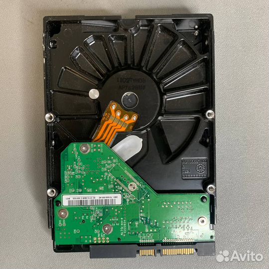 Western Digital WD Blue 160 гб WD1600aajs