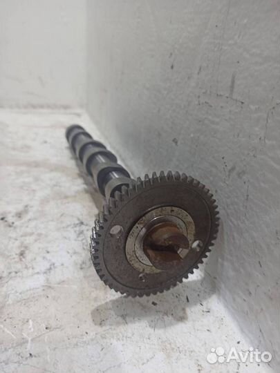 Распредвал впускной Джип