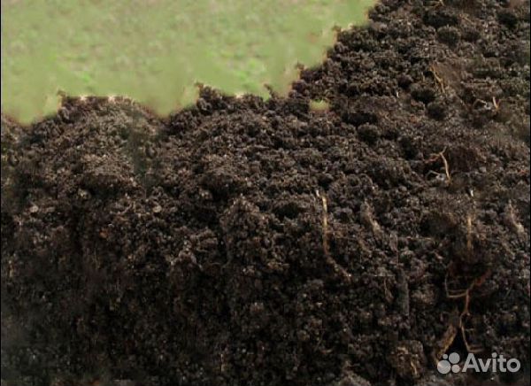 Навоз.перегной