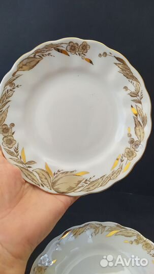 Тарелки лфз