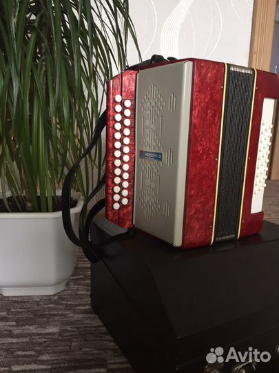 Гармонь Нарач-2