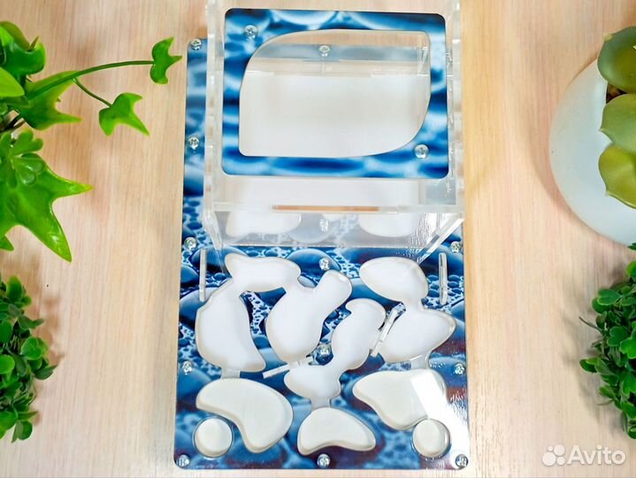 Муравьиная ферма 