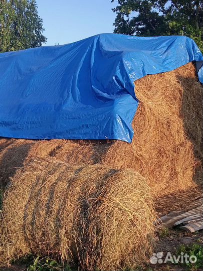 Сено в тюках