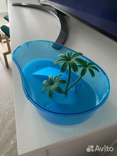 Черепашник маленький