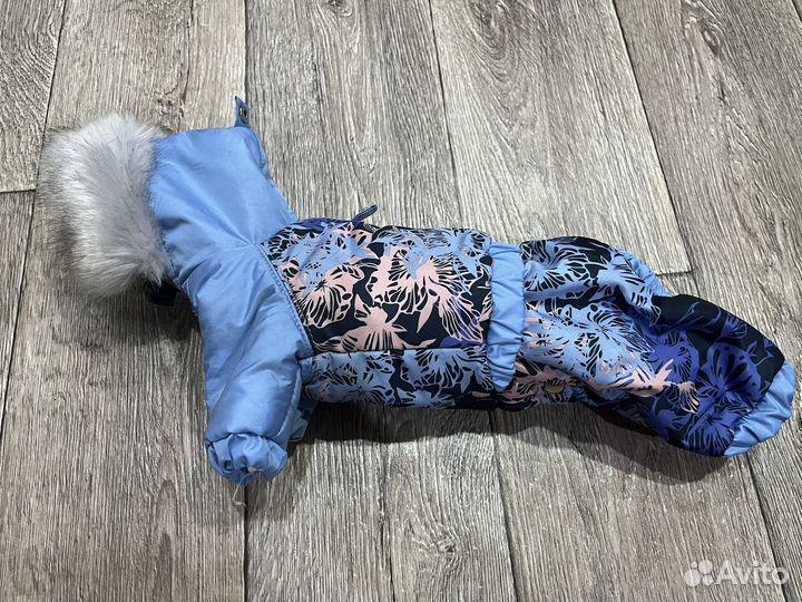 Одежда для собак мелких пород зима