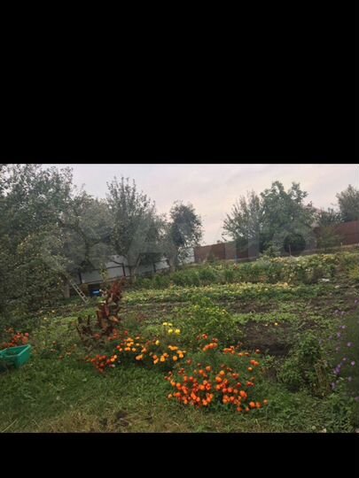 Дача 52 м² на участке 16 сот.