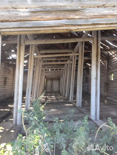 Сруб дома из бревна