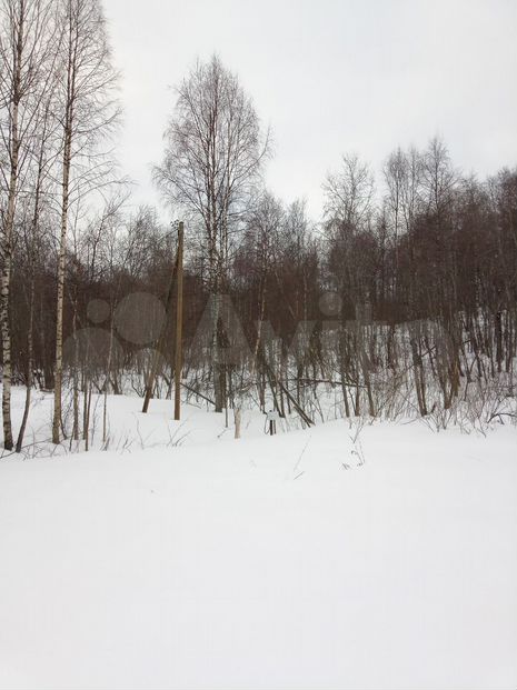 Участок 3 га (СНТ, ДНП)