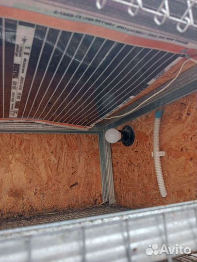 Брудер клетка для птицы