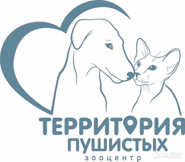 Грумер с выездом на дом