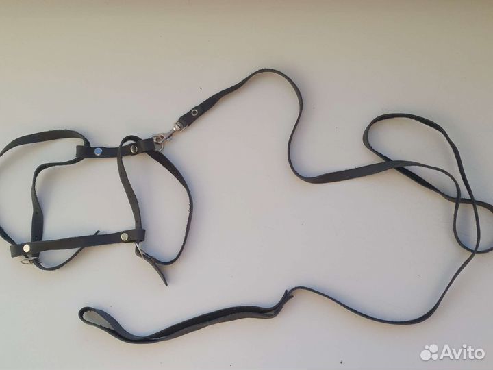 Шлейка для кошки