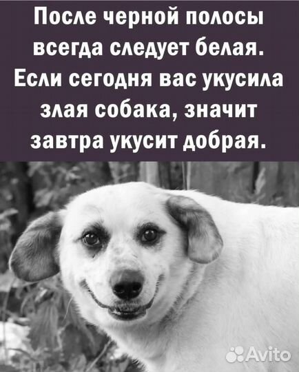 Струны для электрогитары