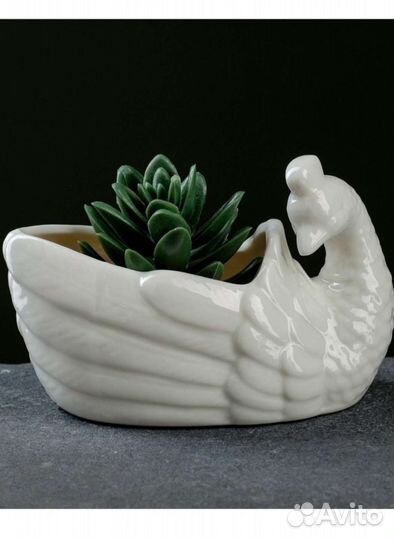 Кашпо для кактусов или суккулентов