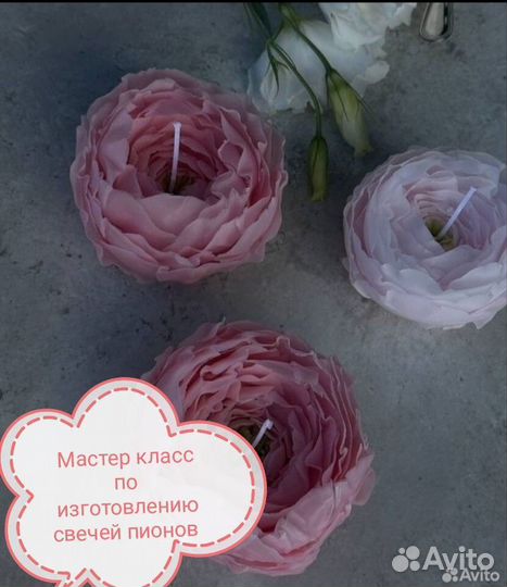 Свеча пион обучение
