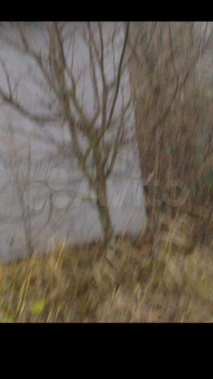 Участок 10 сот. (СНТ, ДНП)