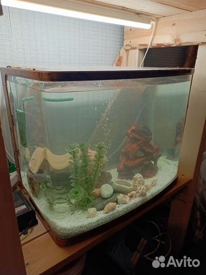 Аквариум 60 л