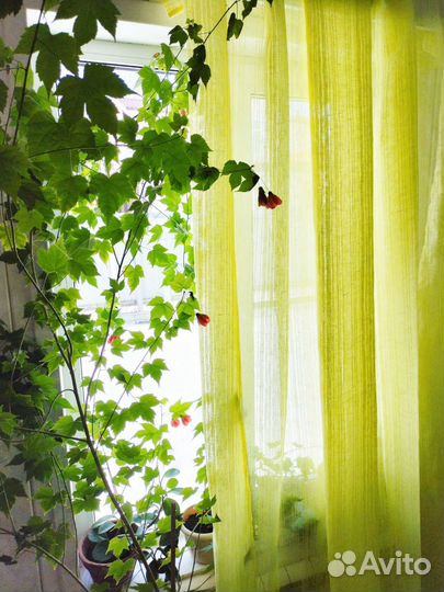 Льняная штора сетка/вуаль 