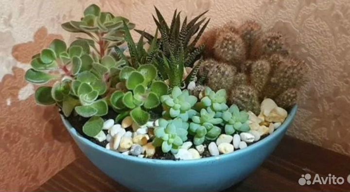 Флорариум Икея