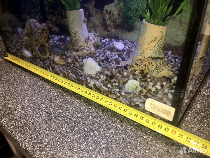 58 литров полный комплект аквариум