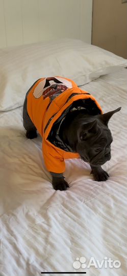 Одежда для собак щенков комбинезон размер M-L