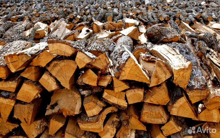 Дрова с Приморска