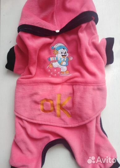 Одежда для любимой собачке